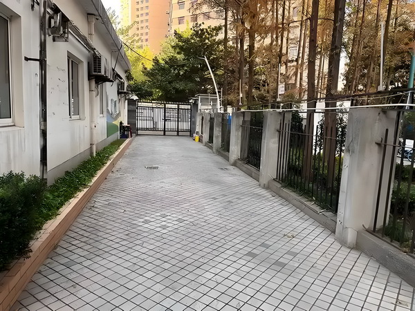 预售惨淡人气暴跌谁也救不了“狂妄自大”的那英